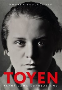 „Vltava pláče“ a čtenářstvo taky: dojmologie životopisu Toyen